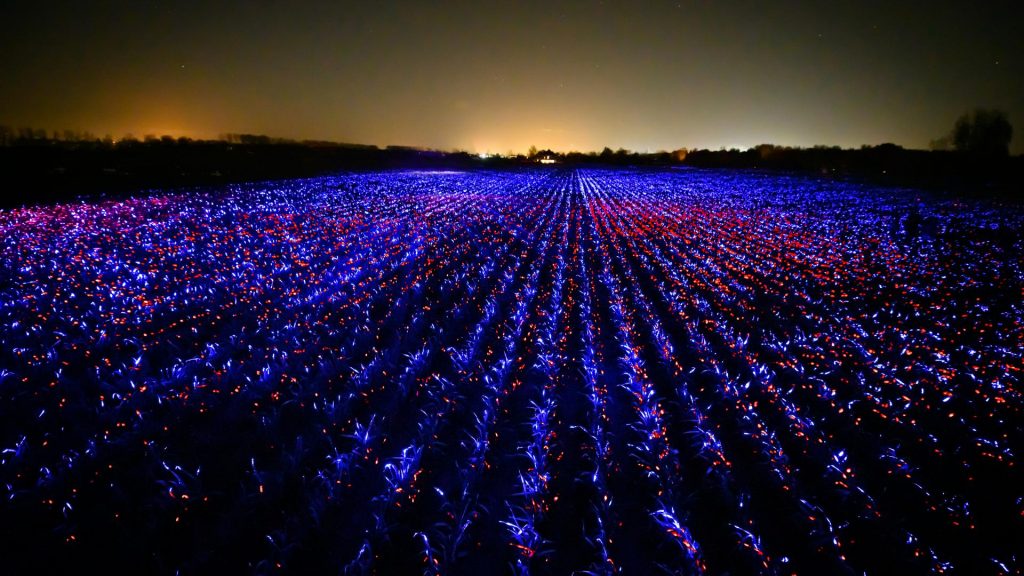 Grow art installation by Studio Roosegaarde
